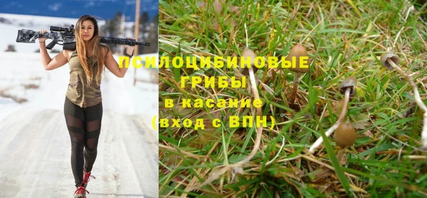 прущий лед Алексеевка