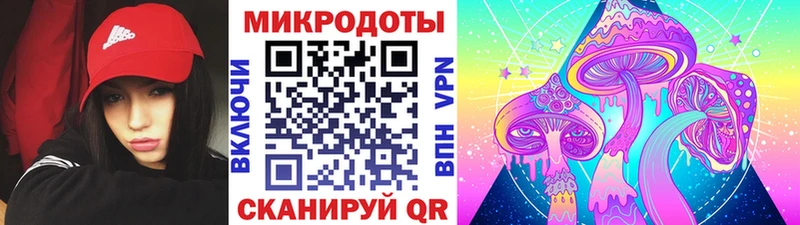 Галлюциногенные грибы Magic Shrooms  Гурьевск 