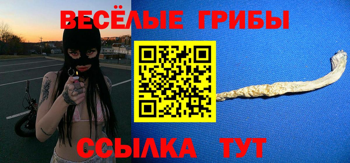 Галлюциногенные грибы GOLDEN TEACHER Гурьевск