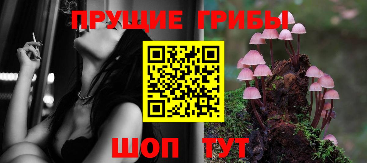Галлюциногенные грибы ЛСД  Вход с VPN  Гурьевск 